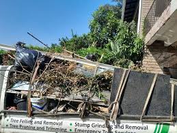 Annandale, MN Junk Removal  Company